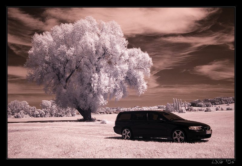 IR_IsentalV70Baum.jpg